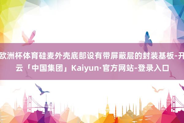 欧洲杯体育硅麦外壳底部设有带屏蔽层的封装基板-开云「中国集团」Kaiyun·官方网站-登录入口