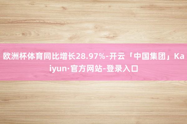 欧洲杯体育同比增长28.97%-开云「中国集团」Kaiyun·官方网站-登录入口