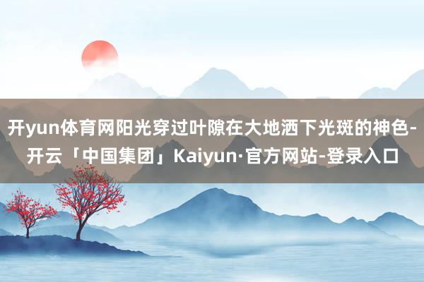 开yun体育网阳光穿过叶隙在大地洒下光斑的神色-开云「中国集团」Kaiyun·官方网站-登录入口
