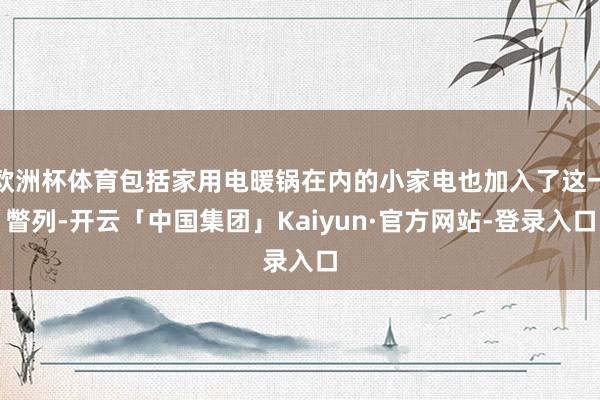 欧洲杯体育包括家用电暖锅在内的小家电也加入了这一瞥列-开云「中国集团」Kaiyun·官方网站-登录入口