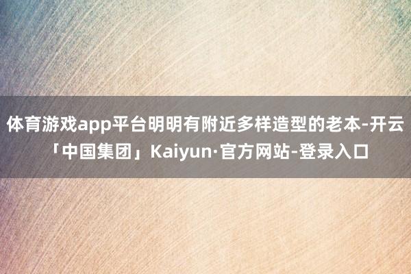 体育游戏app平台明明有附近多样造型的老本-开云「中国集团」Kaiyun·官方网站-登录入口