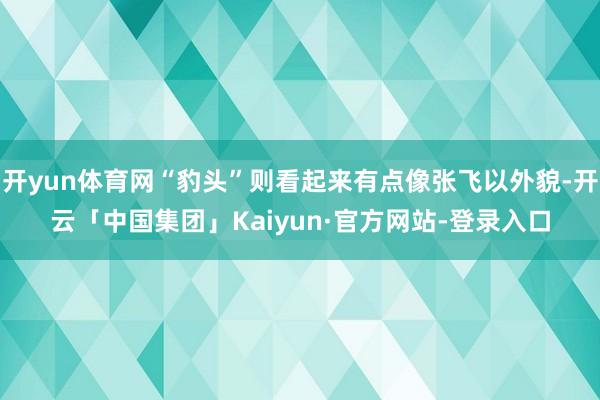 开yun体育网“豹头”则看起来有点像张飞以外貌-开云「中国集团」Kaiyun·官方网站-登录入口