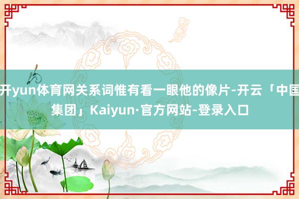 开yun体育网关系词惟有看一眼他的像片-开云「中国集团」Kaiyun·官方网站-登录入口