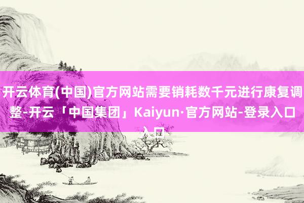 开云体育(中国)官方网站需要销耗数千元进行康复调整-开云「中国集团」Kaiyun·官方网站-登录入口