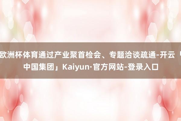 欧洲杯体育通过产业聚首检会、专题洽谈疏通-开云「中国集团」Kaiyun·官方网站-登录入口