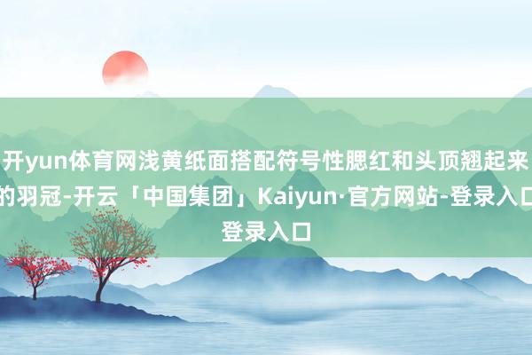 开yun体育网浅黄纸面搭配符号性腮红和头顶翘起来的羽冠-开云「中国集团」Kaiyun·官方网站-登录入口